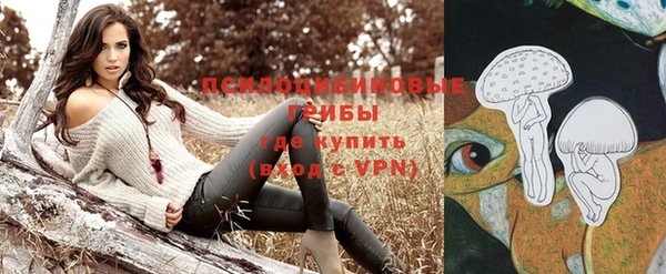 соль ск Абаза