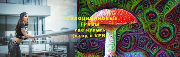 соль ск Абаза
