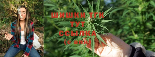 соль ск Абаза